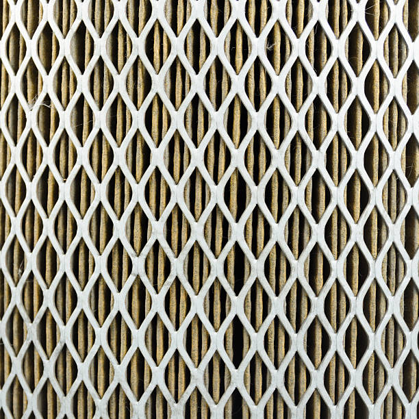 Filter support mesh